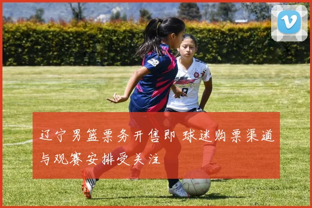 辽宁男篮票务开售即 球迷购票渠道与观赛安排受关注