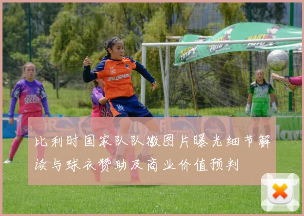 比利时国家队队徽图片曝光细节解读与球衣赞助及商业价值预判